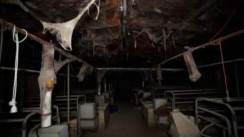 Cobwebs on the ceiling in almost abandoned piggery - Captured at Evans Piggery, Sebastian VIC Australia.