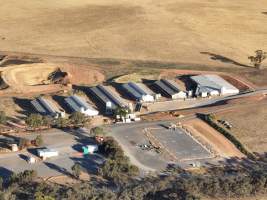 Drone flyover of piggery - Aerial view - Captured at St Arnaud Piggery Units 2 & 3, Saint Arnaud VIC Australia.