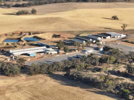 Drone flyover of piggery - Aerial view - Captured at St Arnaud Piggery Units 2 & 3, Saint Arnaud VIC Australia.