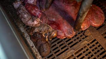 Stillborn and 'mummified' piglets in farrowing crate - Captured at Maysleith Piggery - Farm 1, Rushworth VIC Australia.