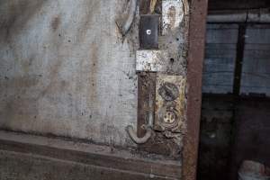 Switches and power outlets covered in spiderwebs - Captured at Van Der Drift & Sons Piggery, Macorna VIC Australia.