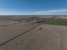 Drone flyover of piggery - Captured at Van Der Drift & Sons Piggery, Macorna VIC Australia.