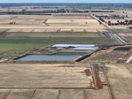 Drone flyover of piggery - Captured at Van Der Drift & Sons Piggery, Macorna VIC Australia.