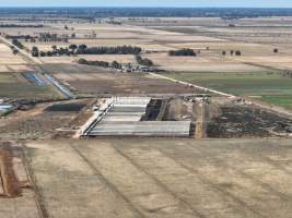 Drone flyover of piggery - Captured at Van Der Drift & Sons Piggery, Macorna VIC Australia.