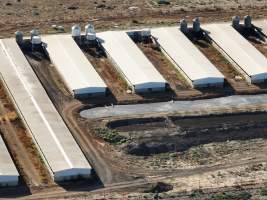 Drone flyover of piggery - Captured at Van Der Drift & Sons Piggery, Macorna VIC Australia.