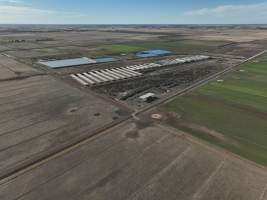 Drone flyover of piggery - Captured at Van Der Drift & Sons Piggery, Macorna VIC Australia.