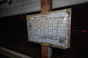 Boar Schedule signage - Captured at Maysleith Piggery - Farm 1, Rushworth VIC Australia.