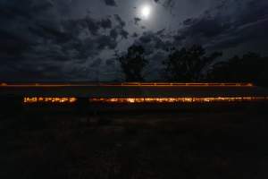 Farrowing shed from outside at night - Captured at Maysleith Piggery - Farm 1, Rushworth VIC Australia.