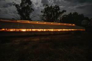 Farrowing shed from outside at night - Captured at Maysleith Piggery - Farm 1, Rushworth VIC Australia.