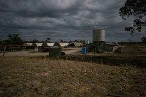 Looking over piggery sheds from hill - Long exposure on a cloudy night - Captured at Reedy Lake Grower, Whroo VIC Australia.