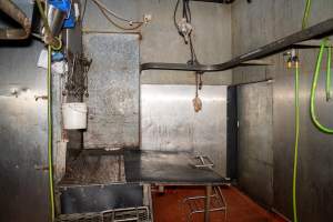 Sticking platform inside kill room - Captured at Brisbane Valley Meats, Esk QLD Australia.