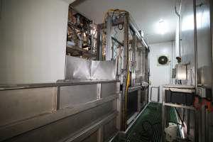 Knock box in the kill room - Captured at Greenmountain Food Processing, Coominya QLD Australia.