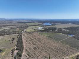 Drone flyover of slaughterhouse - Captured at Greenmountain Food Processing, Coominya QLD Australia.