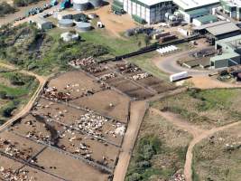 Drone flyover of slaughterhouse - Captured at Greenmountain Food Processing, Coominya QLD Australia.