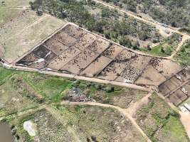 Drone flyover of slaughterhouse - Captured at Greenmountain Food Processing, Coominya QLD Australia.