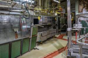 Scalding tank for pigs in kill/processing room - Captured at Carey Bros Abattoir, Yangan QLD Australia.