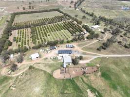 Drone flyover of slaughterhouse - Captured at Brisbane Valley Meats, Esk QLD Australia.