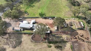 Drone flyover of slaughterhouse - Captured at Crows Nest Meatworks, Crows Nest QLD Australia.