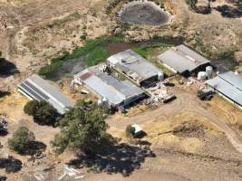 Drone Flyover March 2025 - Captured at Unknown piggery, Wunghnu VIC Australia.