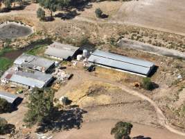 Drone Flyover March 2025 - Captured at Unknown piggery, Wunghnu VIC Australia.