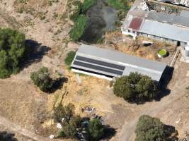 Drone Flyover March 2025 - Captured at Unknown piggery, Wunghnu VIC Australia.