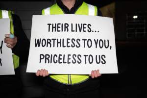 Cedar Meats Vigil - National Week Of Action 2025 - During the Shut Down Slaughterhouses Week of Action, we held a vigil outside of the Cedar Meats slaughterhouse in Brooklyn, Victoria.
During a two week investigation last year, our hidden cameras captured the handling and slaughter of animals, including newborn lambs and kids born in the holding pens of the slaughterhouse.
It was a Wednesday night when we gathered outside the slaughterhouse, holding signs and listening to music and speeches from investigators. We wanted to send a message to Cedar Meats, to let them know that we have not forgotten how they treat animals when they believe that no one is watching
We poured fake blood across their driveway as a visual reminder to everyone passing by, that animals arriving here are coming to their deaths. At the gates to the slaughterhouse, we each left a flower.
The images of animals whose deaths we have seen will haunt us forever, but we are determined to continue to fight in their name. - Captured at Cedar Meats, Brooklyn VIC Australia.
