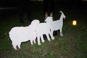 Cedar Meats Vigil - National Week Of Action 2025 - During the Shut Down Slaughterhouses Week of Action, we held a vigil outside of the Cedar Meats slaughterhouse in Brooklyn, Victoria.
During a two week investigation last year, our hidden cameras captured the handling and slaughter of animals, including newborn lambs and kids born in the holding pens of the slaughterhouse.
It was a Wednesday night when we gathered outside the slaughterhouse, holding signs and listening to music and speeches from investigators. We wanted to send a message to Cedar Meats, to let them know that we have not forgotten how they treat animals when they believe that no one is watching
We poured fake blood across their driveway as a visual reminder to everyone passing by, that animals arriving here are coming to their deaths. At the gates to the slaughterhouse, we each left a flower.
The images of animals whose deaths we have seen will haunt us forever, but we are determined to continue to fight in their name. - Captured at Cedar Meats, Brooklyn VIC Australia.