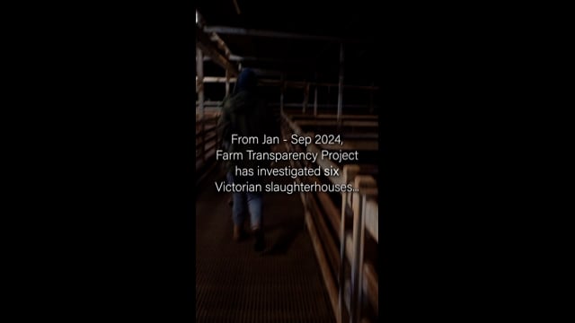 Dear DAFF - Open letter regarding inadequacy and corruption of abattoir regulator (Instagram)