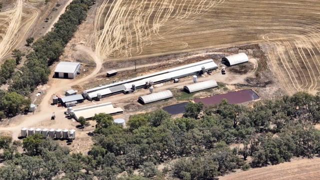 Drone Flyover of Hylehay Piggery