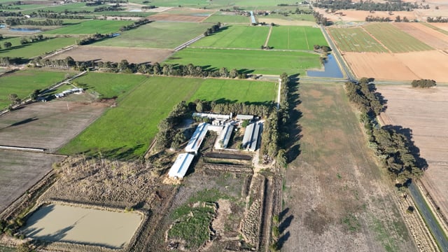 Drone flyover of Markanda Piggery