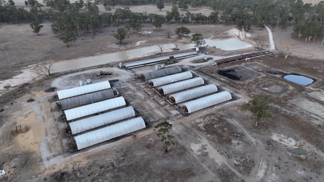 Reedy Lake Grower Piggery 2025 (summary)