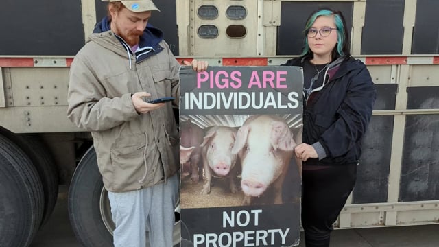 PIGS ARE INDIVIDUALS NOT PROPERTY