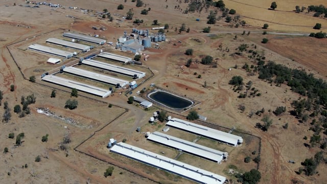 Wongalea Piggery