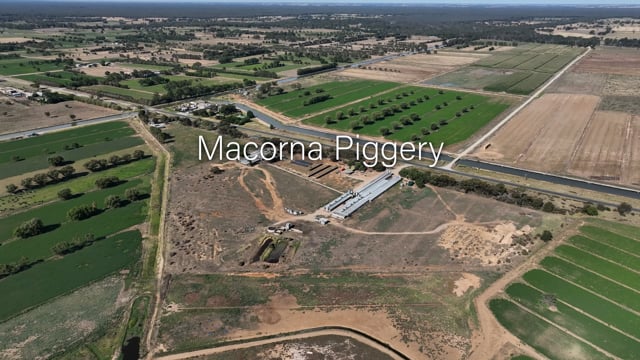 Macorna Piggery, Leitchville 2025 (Summary)