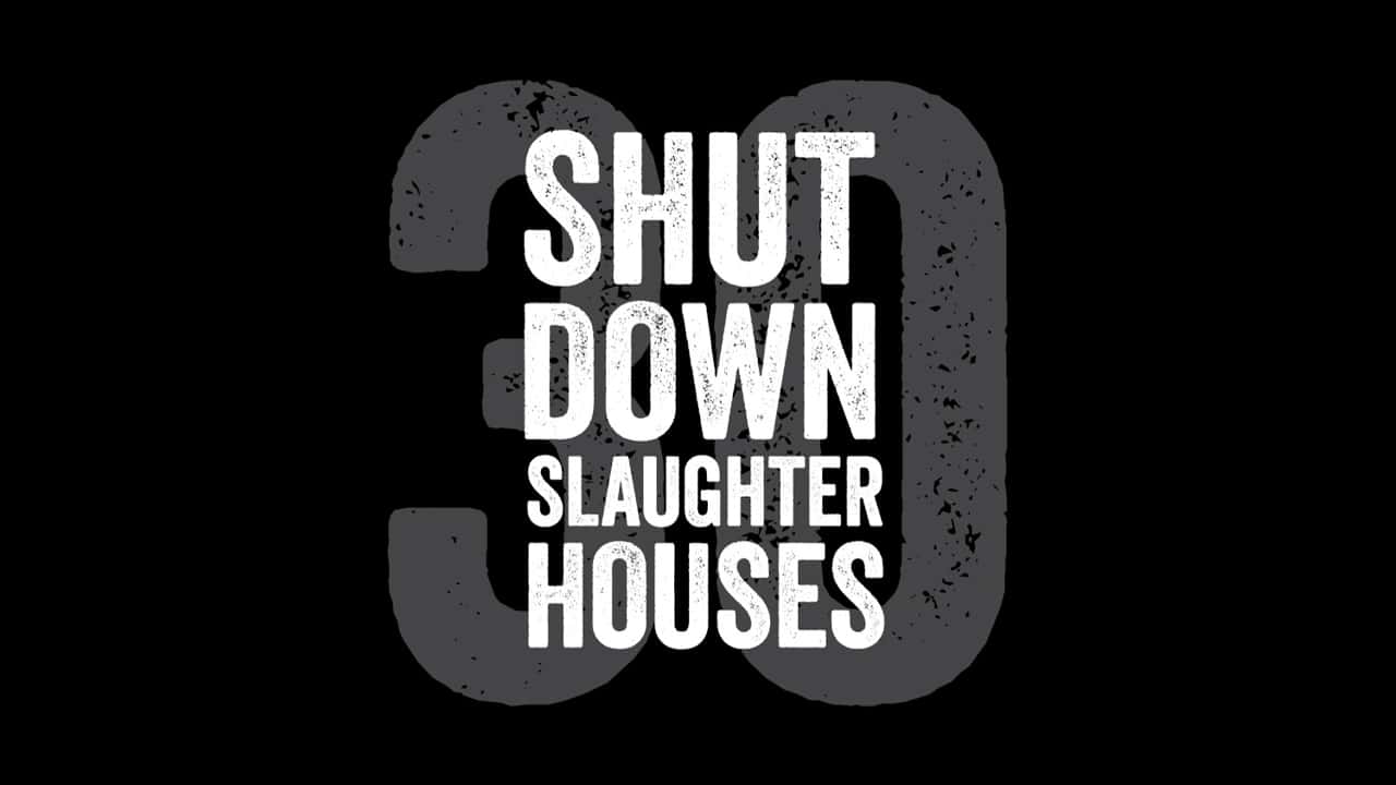 Shut Down Slaughterhouses - launch