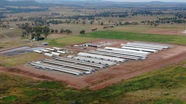 Wilson Pork Piggery