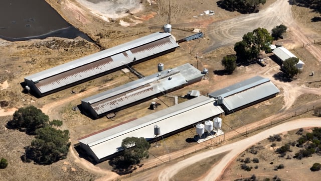 Drone flyover of Whipstick Piggery