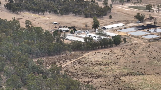 Drone flyover of Nagambie Breeder Piggery