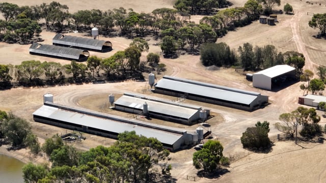 Drone flyover of AJ & NM Carr Partnership Piggery