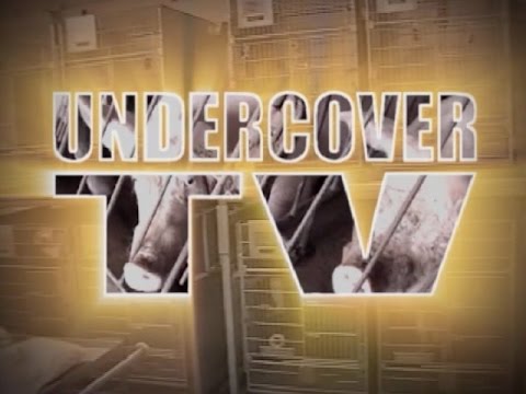Undercover Investigation Special: Animals in Entertainment
