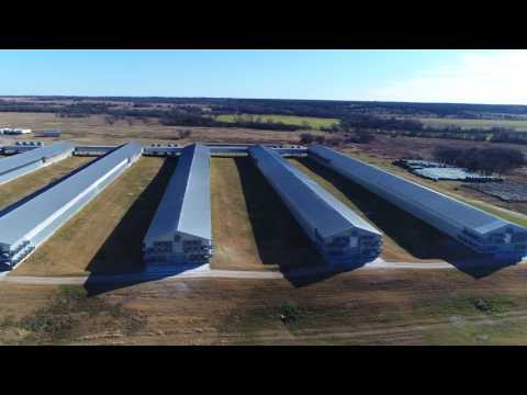 Drones Reveal Egg Factory 
