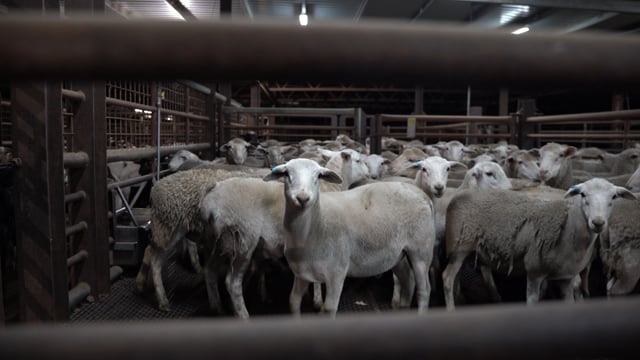 MD Foods, Echuca VIC